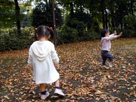 落ち葉の中を遊ぶ子どもの写真