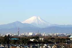 市役所屋上からの富士山
