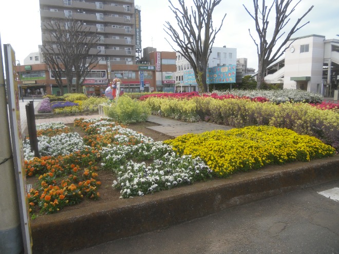 花壇の様子
