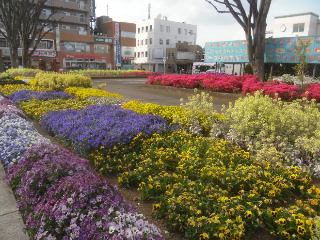 花壇の様子