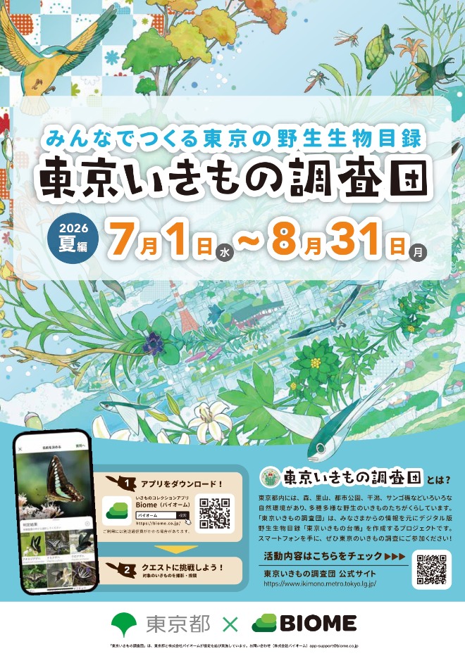 2026夏
