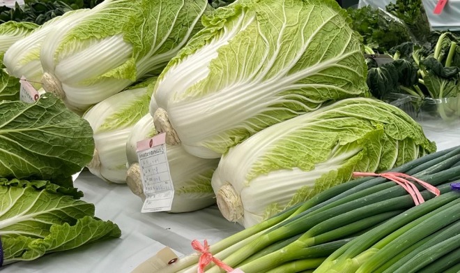 野菜の写真