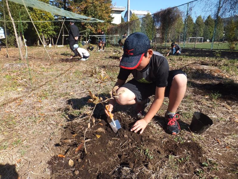 大けやき道公園で記念植樹式を行いました 東京都小平市公式ホームページ