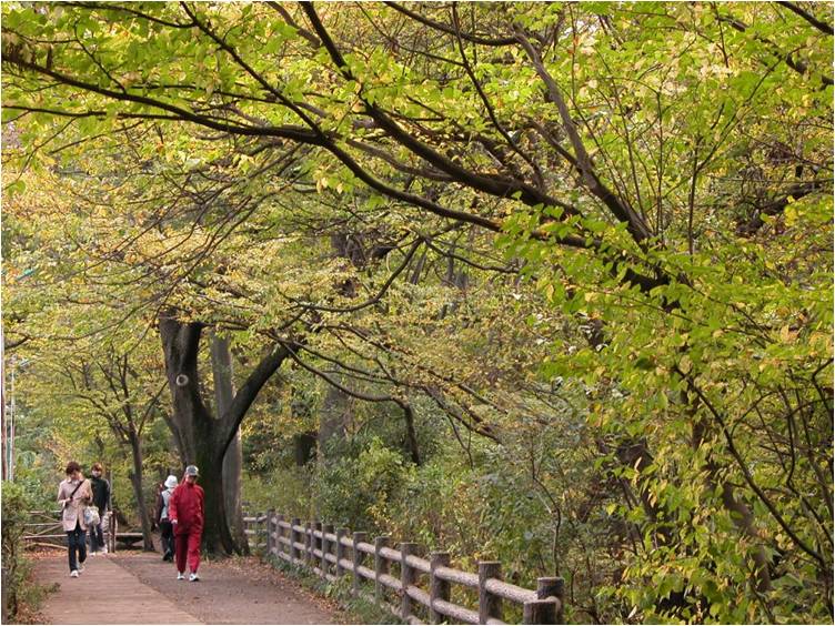 晩秋の小平グリーンロードウォークと収穫祭 令和2年度中止 東京都小平市公式ホームページ