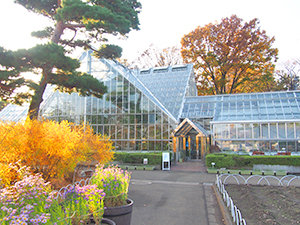 東京都薬用植物園 東京都小平市公式ホームページ