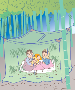 蚊帳のなかで過ごす家族のイラスト