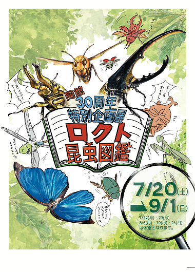 特別企画展ロクト昆虫図鑑の画像