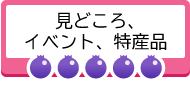 見どころ、イベント、特産品